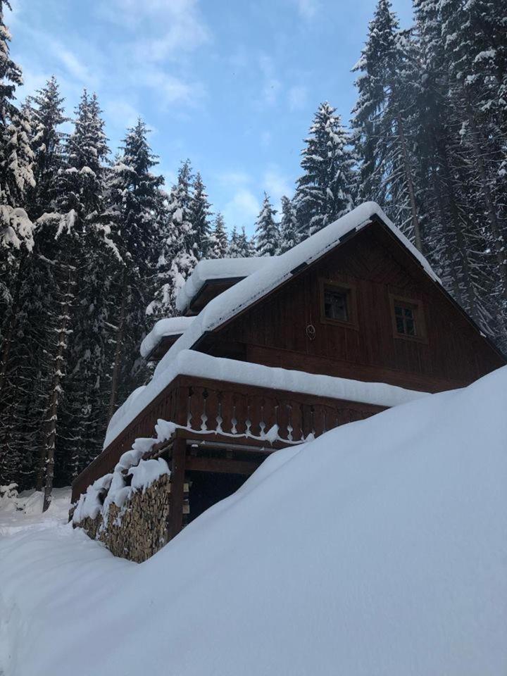 Lodge Na Leskove *